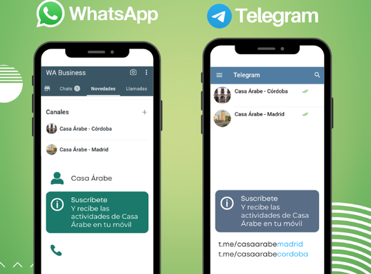 Wa_y_telegram__canales_wa__800-boletin_grande