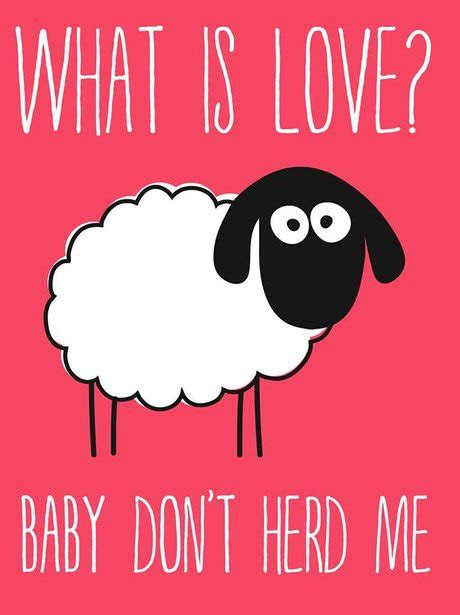 Alright, aren't you looking to make your partner laugh? The Painfully Honest Valentine's Cards That Tell It Like It Is