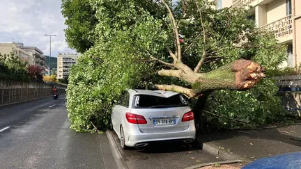 Arbres arrachés, rafales, grêle... Un violent orage s'est abattu sur une partie de l'Auvergne