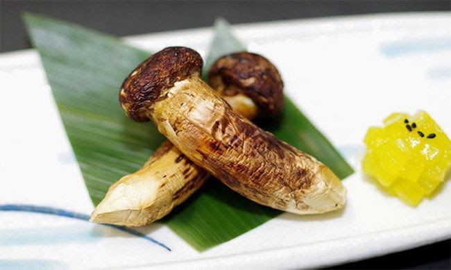 Nấm Matsutake