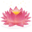 🪷