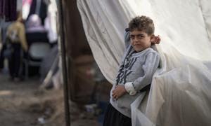 Miles de familias se refugian en campamentos del sur de Gaza.