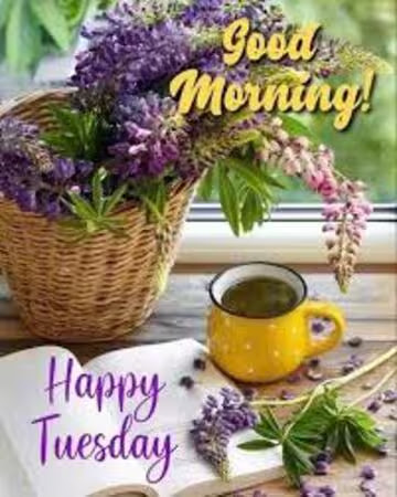 Tuesday-Good-Happy-Morning-Coffee-Flowers