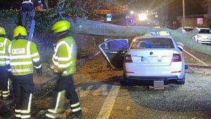 Taxi driver injured after car hit by tree during storm