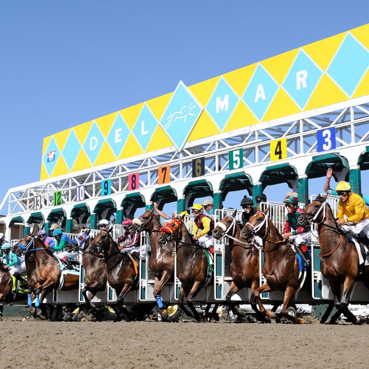Del Mar Race Track Opening Gate - Horses ready to go