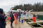 A group of people stand on a dock wearing warm winter clothes and high visibility fishing apparel.