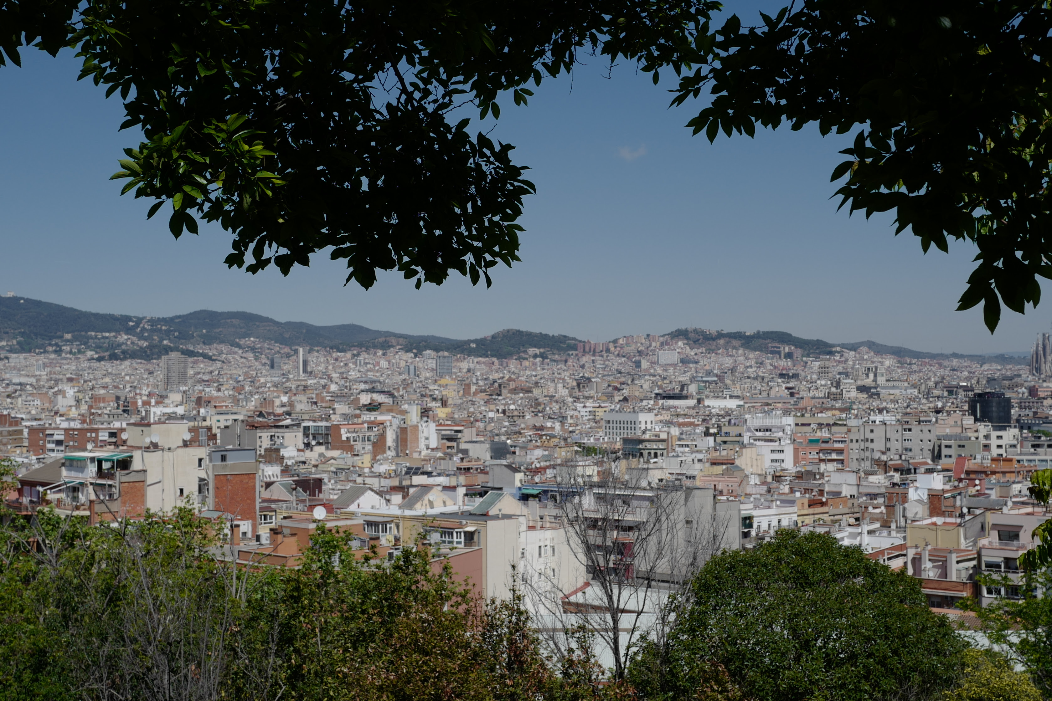 Los distritos de Barcelona, Madrid y Valencia con mayor demanda para alquilar piso