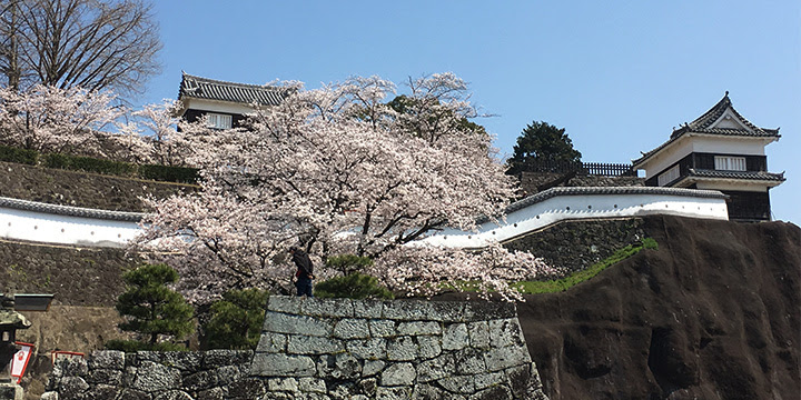 Usuki Castle