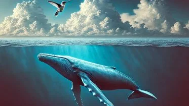 Whale With Bird Above Concept Art