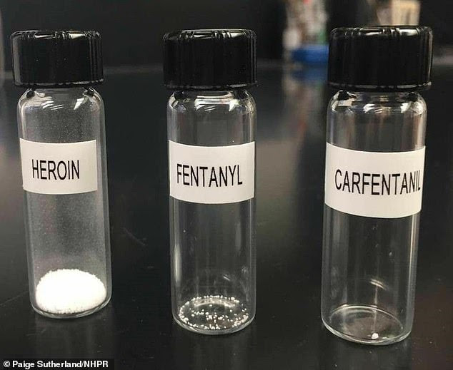 This picture shows the lethal doses for an average adult of various opioids like heroin, fentanyl and carfentanil. Carfentanil is 100 times more potent than fentanyl and 10,000 times more potent than morphine