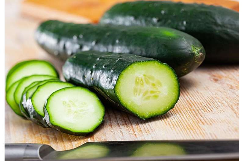 Salmonella outbreak triggers recall of cucumbers in 26 states