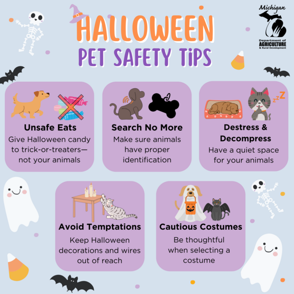 Infographic of Halloween Safety Tips for Pets 