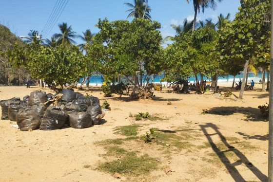 Acumulación de basura atenta contra desarrollo turístico en eje costero venezolano