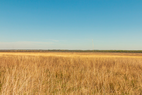 An open prairie.