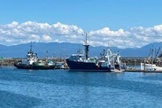 A newly acquired Makah trawling vessel in Neah Bay, being made ready to fish in the tribal whiting fishery. Credit: J.L. Ise/NOAA Fisheries