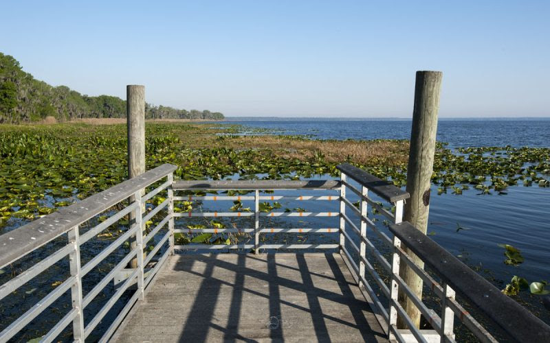 Fishing dock at Lochloose Wildlife Conservation Area