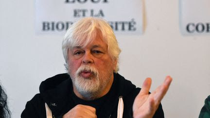 Arrestation de Paul Watson : pourquoi le Japon veut-il la peau du 'pirate' de Sea Shepherd ?