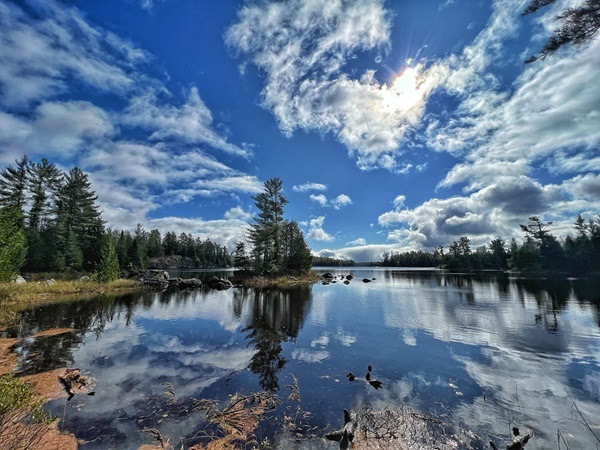 bright blue sky and wispy white clouds reflect off calm lake surrounded by mature pines, downed wood and irregular shoreline