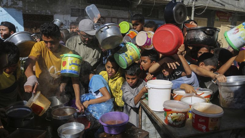 Northern Gaza in 'full-blown' famine: Senior UN official 800x450_cmsv2_0d34040a-2ab0-5308-88f1-409ae147c0aa-8317140