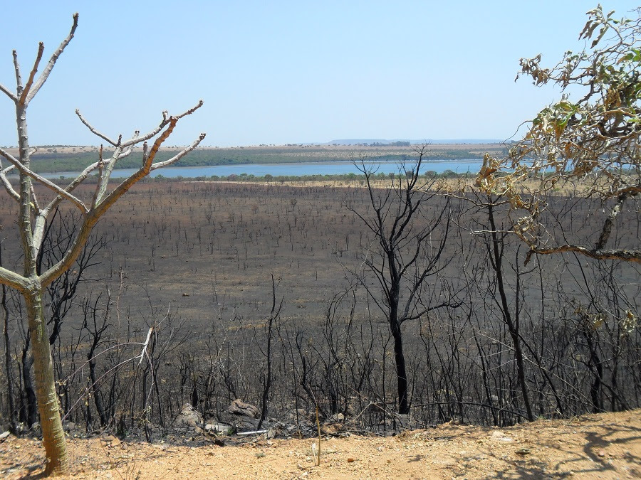 Arquivo Laboratório de Ecotoxicologia da Embrapa Cerrados - Lagoa Bonita (DF) após incêndio em 2010