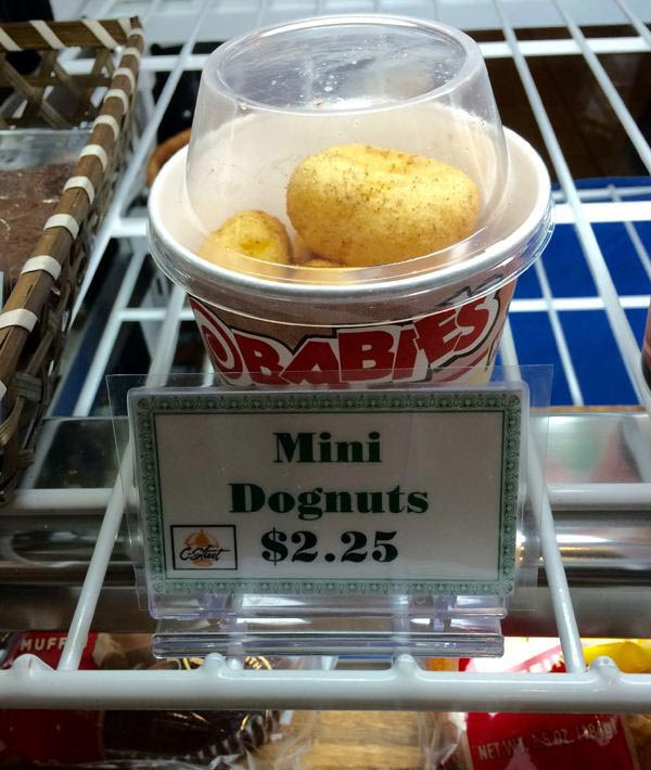 Funny Spelling & Grammar Fails~ mini dognuts doughnut