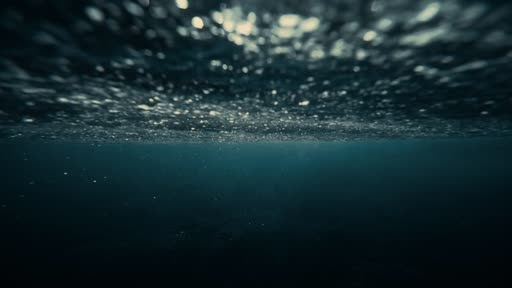 video capture