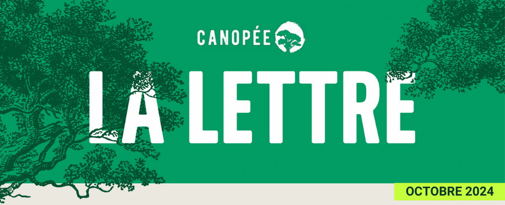 En-tête la lettre de canopée