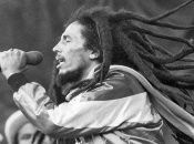 Bog Marley murió el 11 de mayo de 1981 en Miami (Estados Unidos), tras ser diagnosticado con cáncer.