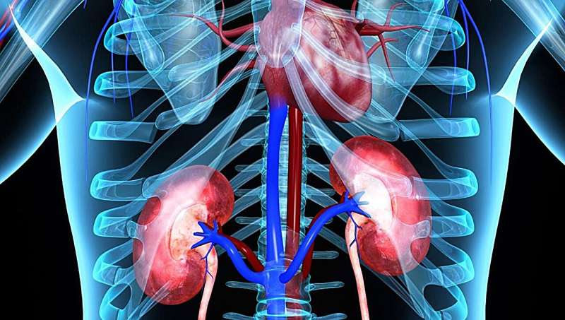 ASN: empagliflozin offers lasting cardiorenal benefit in CKD patients