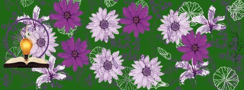 433093a8 a5bb 416d 97b1 91f5b6d8636a