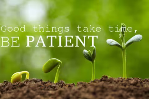 Patient-plants-grow