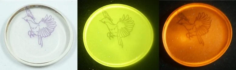 Photochromic Glass Bird Design Etching