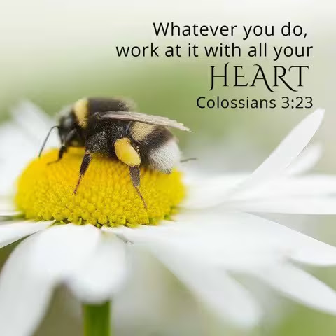 Heart-Colossians-3-23