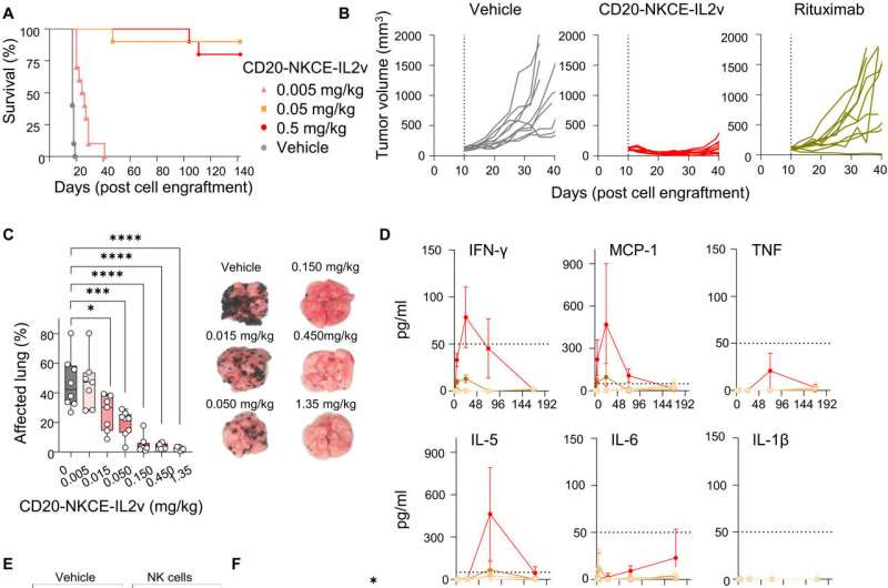 Experimental drug that summons 'warriors of the immune system' shows early promise against non-Hodgkin lymphoma