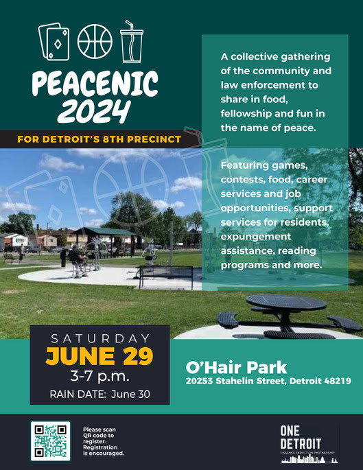 Peacenic June 29 graphic 2