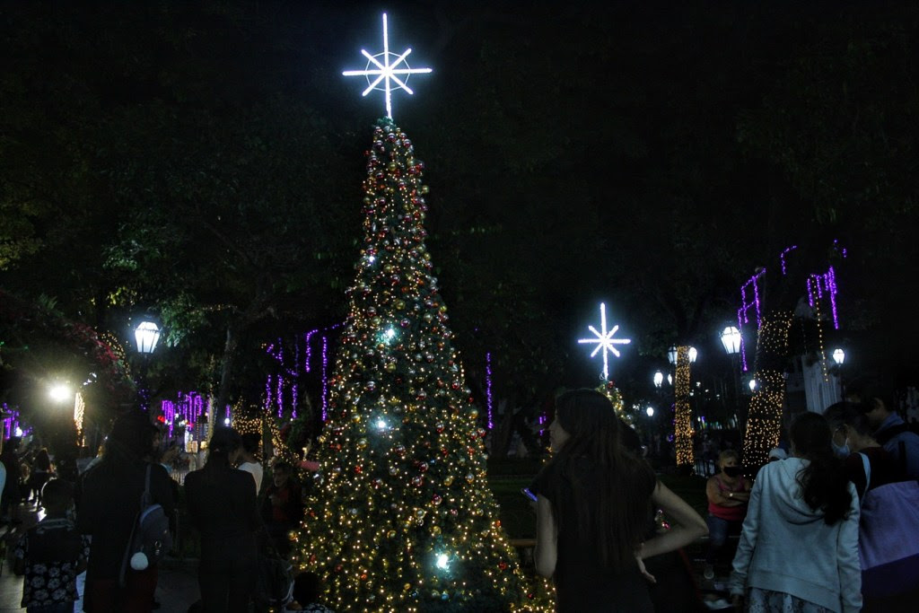 Plazas adornadas- navidad (MC) 19