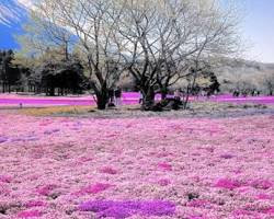 Image de Hokkaido island in Japan