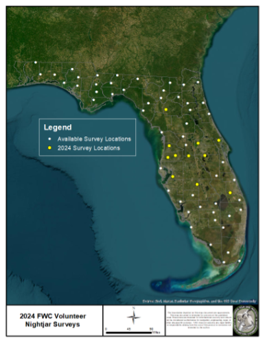 Aerial map of Florida. Yellow dots across central counties show 2024 survey locations. White dots in all counties show available locations.