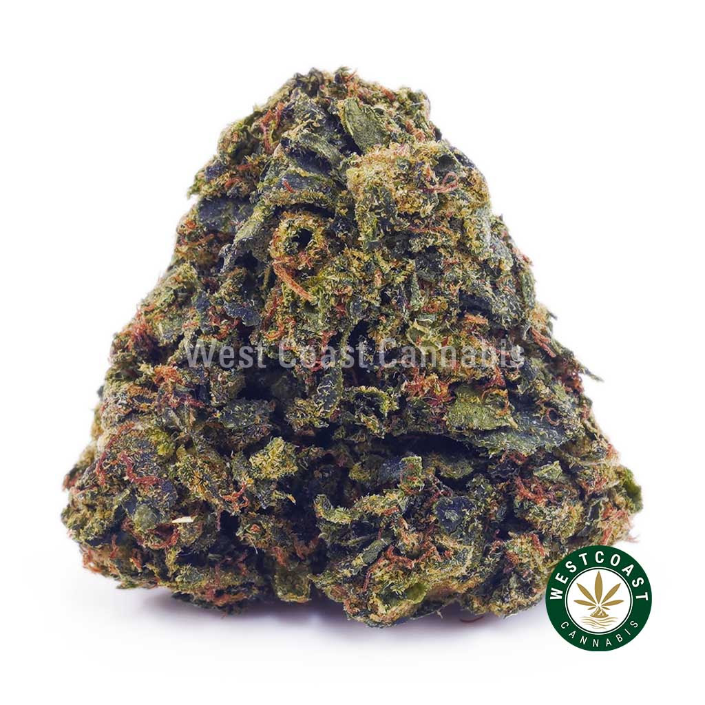 Image of Lemon Haze AA - Romulan AA - Greenhouse
