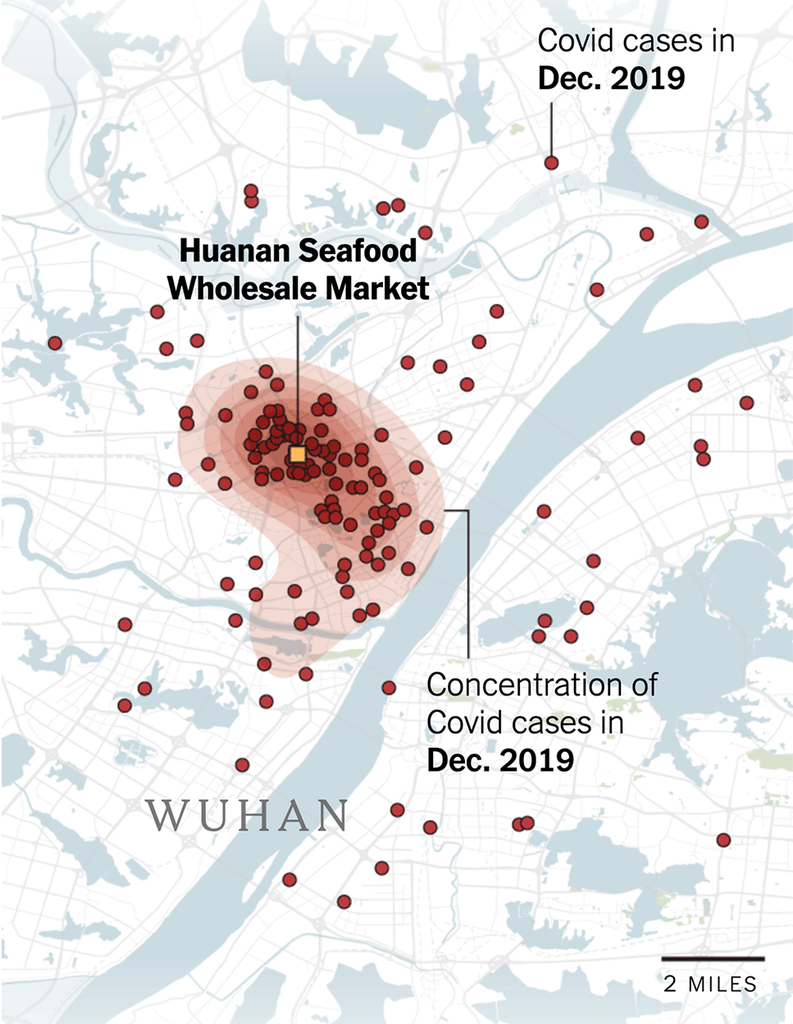 Red dots on a map show the locations of Covid cases in December 2019. Higher concentration of cases are close to the Huanan Seafood Wholesale Market.