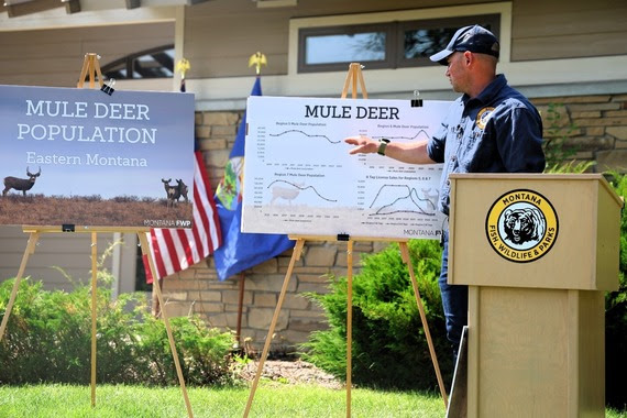 FWP Wildlife Manager Brett Dorak discusses trends in mule deer numbers across regions in eastern Montana at a press conference Monday in Billings.