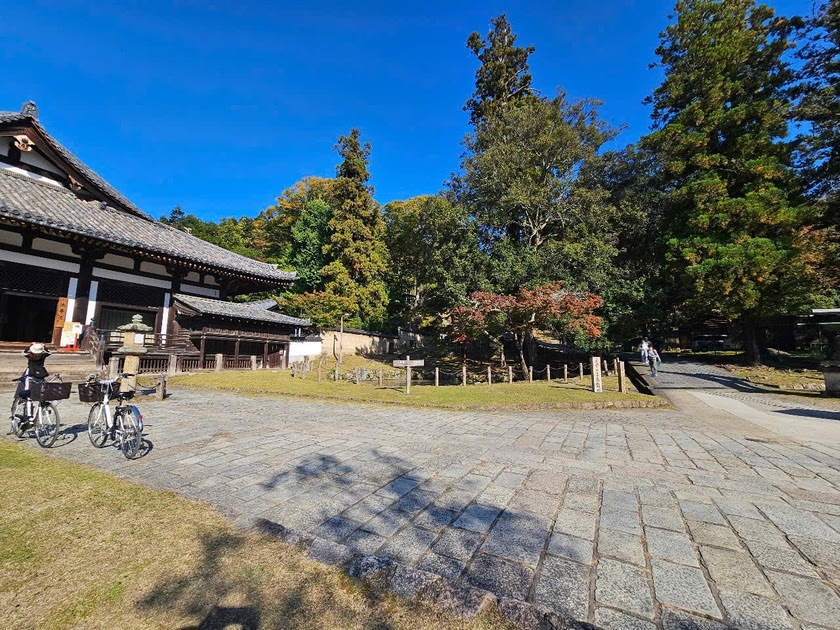 Sức hút của Todai-ji, ngôi chùa có lịch sử 1.200 năm ở Nara-Nhật Bản - Ảnh 18.
