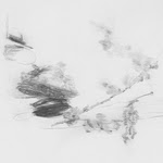 ASM 008LP