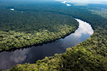 Cuenca del Congo (greenpeace)