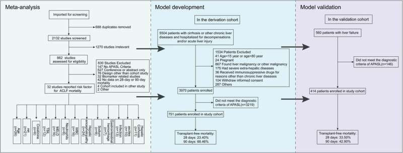 New prognostic model enhances survival prediction in liver failure