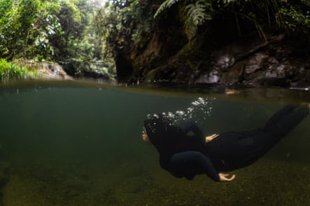 A woman in full-body swimsuit dives under the water