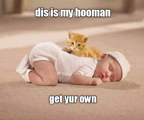 Cat-My-Hooman