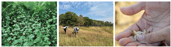 Pictures of natural areas