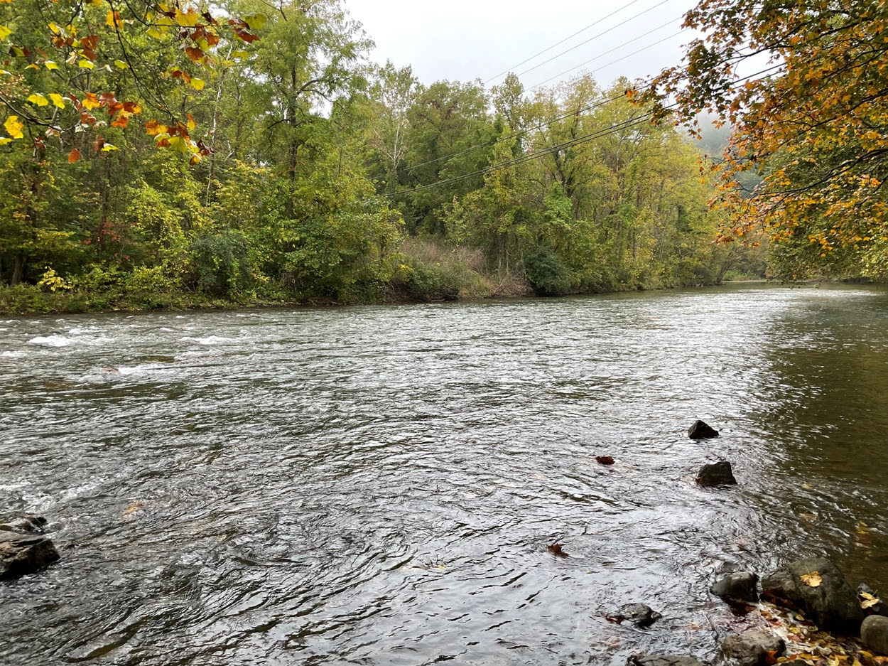 An image of a river running through a deciduous forest