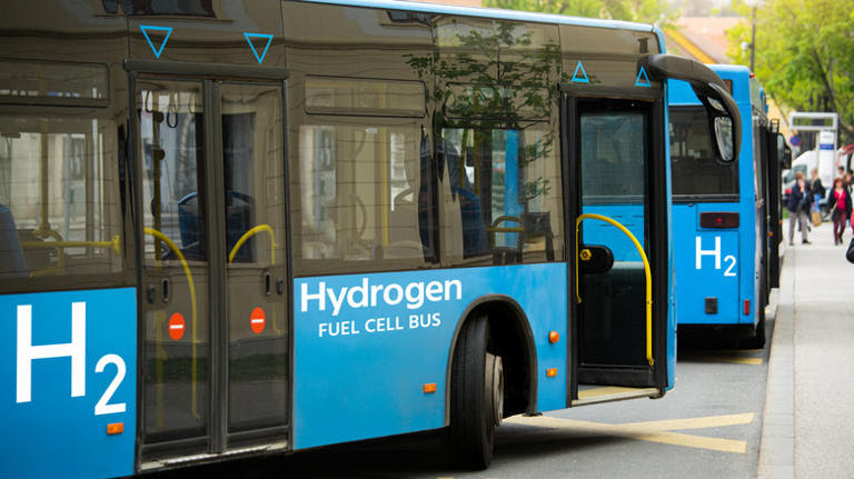 hydrogen fuel cell public buses